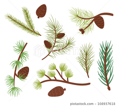 Coniferous Tree Branches, Symbol Of Winter Beauty, Adorned With Green Needles, And Cones, Cartoon Vector Illustration 108937618