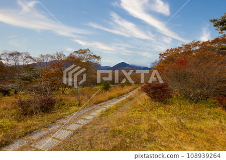 八岳,美麗的森林 觀景台的秋葉 八岳,美麗的森林 觀景台的秋葉 108939264