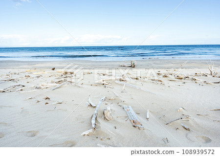 Drifting, large trees, garbage, sea Drifting, large trees, garbage, sea 108939572