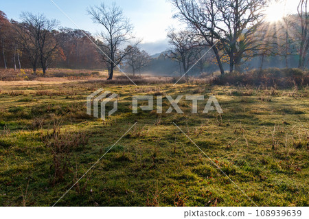 Sunrise in the grassland 108939639