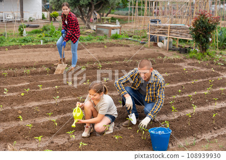 Daughter helps father clean weeds in garden beds closeup Daughter helps father clean weeds in garden beds closeup 108939930