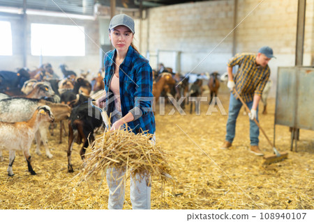 Woman cleaning in a goat pen at livestock farm Woman cleaning in a goat pen at livestock farm 108940107