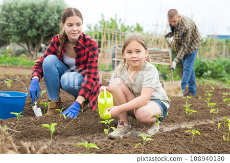 Friendly family working together on backyard garden 108940180