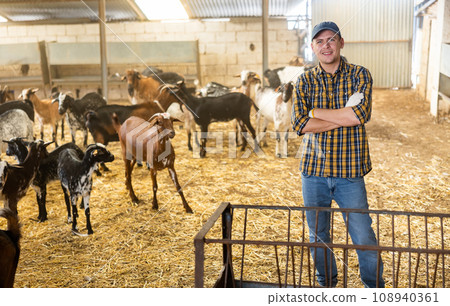 Confident positive farmer breeding dairy goats posing in shed Confident positive farmer breeding dairy goats posing in shed 108940361