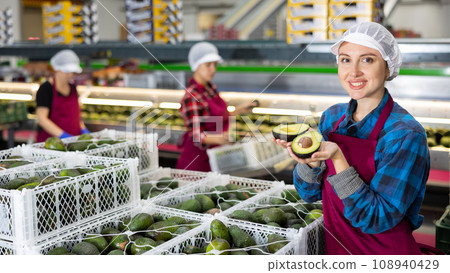 Cheerful sorting factory workwoman holding halves of ripe avocado 108940429