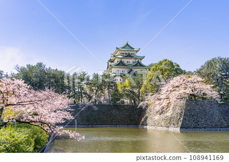名古屋城、櫻花和護城河、北側名城公園側 名古屋城、櫻花和護城河、北側名城公園側 108941169