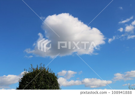 Blue sky and white clouds tree 108941888