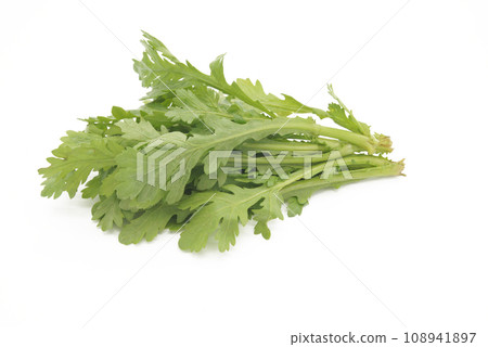 Shungiku with a white background 108941897