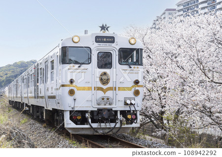 “Futatsuboshi 4047” runs beside the cherry blossom trees in Nagayo Town 108942292