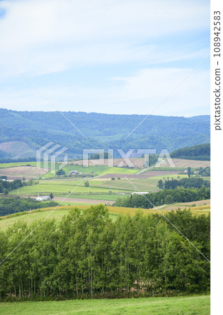 Patchwork hill in Biei, Hokkaido 108942583