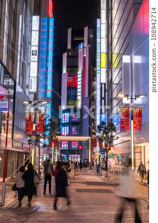 《Tokyo》Shinjuku Musashino Street, downtown area at night 108942714