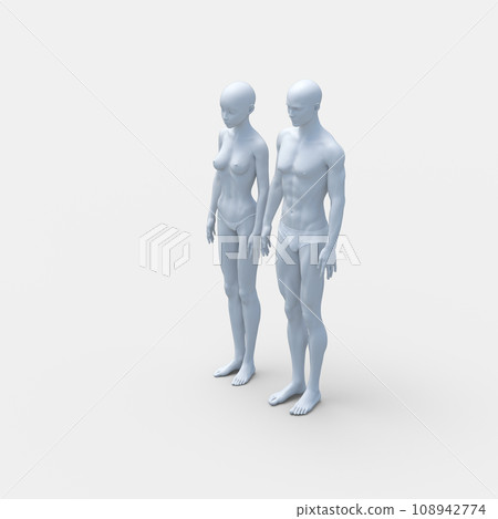 Differences between men and women with underwear Comparison of body shapes perming3DCG Illustration material Differences between men and women with underwear Comparison of body shapes perming3DCG Illustration material 108942774
