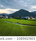 Scenery with rice field 108942903