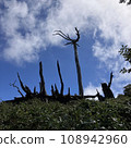 Pruned tree 108942960