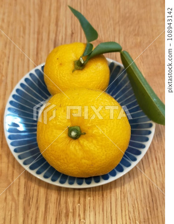 柚子葉 柚子葉 108943142