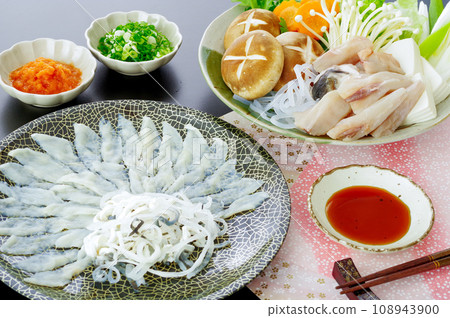 美味的河豚生魚片和河豚火鍋的配料 108943900