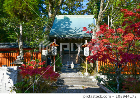 Kyoto Autumn Akayama Zen-in Temple 108944172