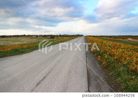 平原上筆直的道路 平原上筆直的道路 108944256