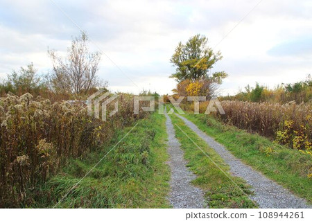 鄉間小路 108944261
