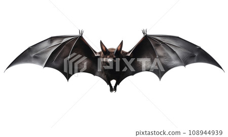 Halloween silhouette black bat on transparent background. Halloween silhouette black bat on transparent background. 108944939