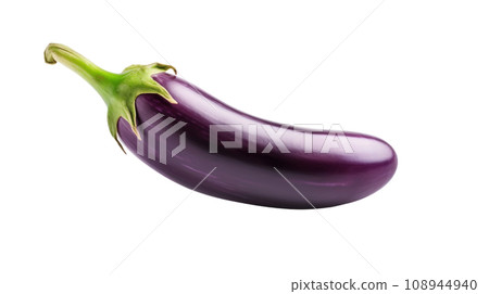 an Eggplant on a transparent an Eggplant on a transparent 108944940