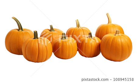Pumpkins on transparent background 108945158