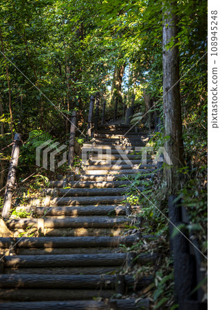 Trekking autumn mountain path image 108945248
