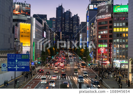 [Tokyo] Shinjuku city night view/Koshu Kaido 108945654