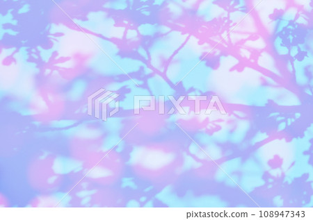 Sakura flower silhouette art swaying in the pale light of early spring 108947343