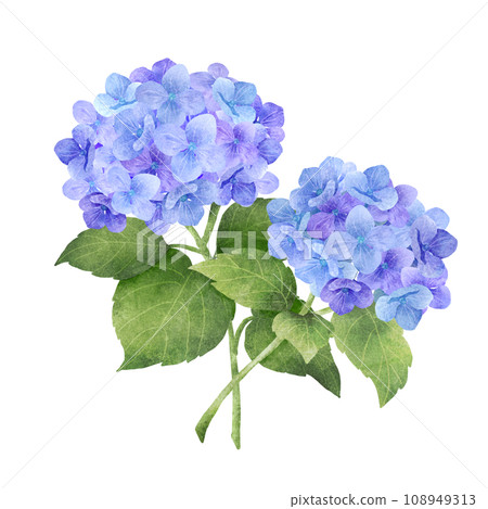 水彩風格的藍色繡球花花束 108949313