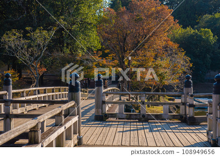 秋天來臨之際,奈良的浮禦堂 秋天來臨之際,奈良的浮禦堂 108949656