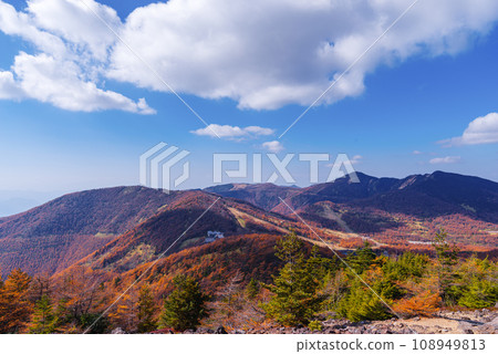 Autumn leaves of Takamine Plateau Autumn leaves of Takamine Plateau 108949813