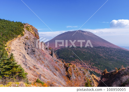 Autumn leaves of Mt. Asama 108950005