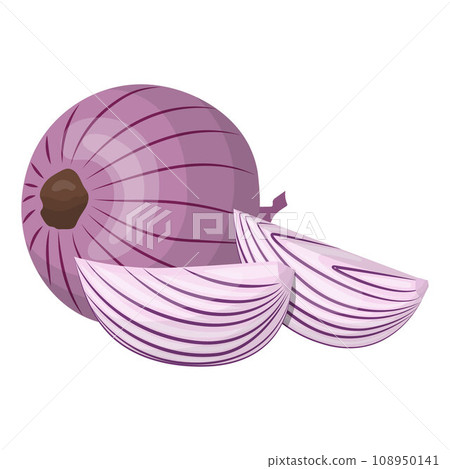 Red onion, whole and slices. Isolated vector illustration on a white background 108950141