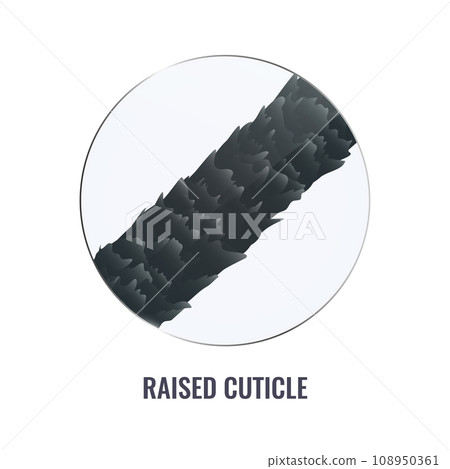 Damaged hair surface with raised cuticle 108950361
