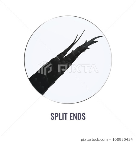 Split ends of damaged hair follicle under the microscope Split ends of damaged hair follicle under the microscope 108950434