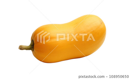 A Butternut on a transparent background A Butternut on a transparent background 108950650