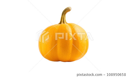 A Butternut on a transparent background 108950658