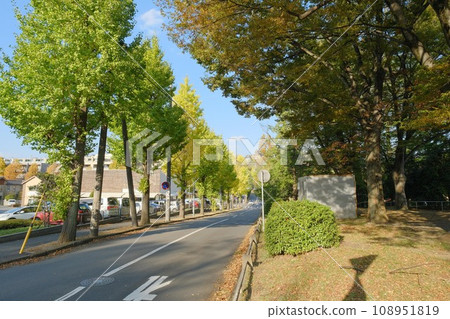 Tama Plaza Utsukushigaoka Straight Road 108951819