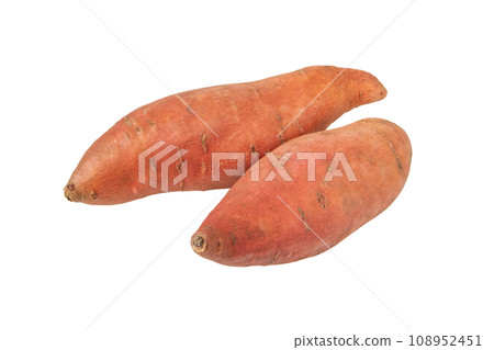 Sweet potato or sweetpotato two whole tubes isolated on white 108952451