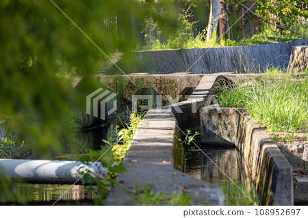 被大自然包圍的寧靜水道漫步 被大自然包圍的寧靜水道漫步 108952697