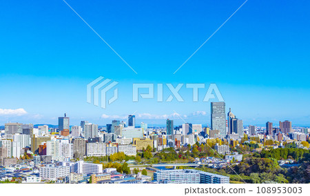 從青葉城眺望仙台市全景 108953003