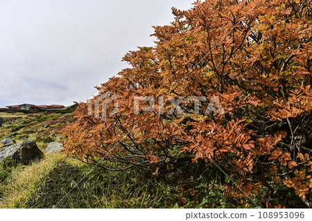 白山的秋天景色 108953096