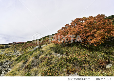 白山的秋天景色 108953097