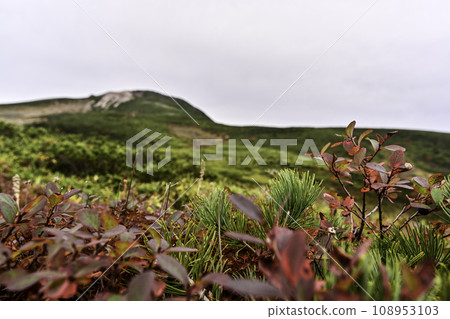 白山的秋天景色 108953103