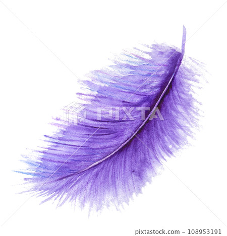 Hand painted watercolor bird feathers closeup isolated on white background colorful set Hand painted watercolor bird feathers closeup isolated on white background colorful set 108953191