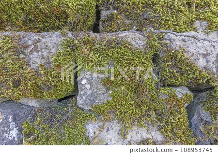 Close up of a moss-covered natural stone wall Close up of a moss-covered natural stone wall 108953745