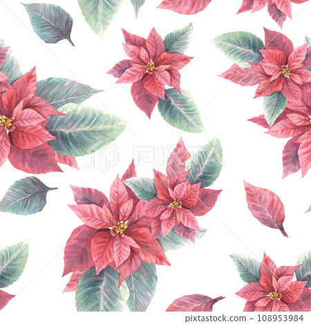 Watercolor painted illustration of red poinsettia, pulcherrima flowers, leaves seamless pattern. Traditional plant for Christmas or New Year decor, gift wrapping, cover art. Isolated, white background 108953984