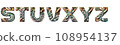 [Transparent PNG] S~Z Forest-inspired alphabet decorative character font 108954137