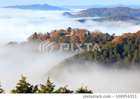 天山城堡7210- 天山城堡7210- 108954353
